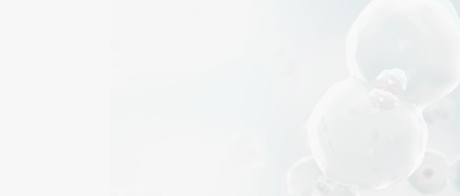 核心技術 核心技術