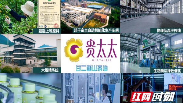 “貴太太”甘二酯山茶油 開啟茶油產業創新新紀元 “貴太太”甘二酯山茶油 開啟茶油產業創新新紀元