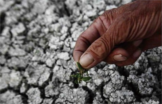 鈍化土壤重金屬 鈍化土壤重金屬