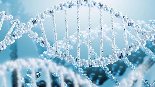 解鎖豐收密碼:神奇的生物酶制劑  解鎖豐收密碼:神奇的生物酶制劑