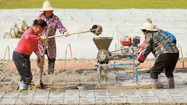 湖南日?qǐng)?bào)丨聚力打造“生物制造谷”——常德貫徹落實(shí)全國(guó)兩會(huì)精神,推動(dòng)合成生物制造產(chǎn)業(yè)高質(zhì)量發(fā)展 湖南日?qǐng)?bào)丨聚力打造“生物制造谷”——常德貫徹落實(shí)全國(guó)兩會(huì)精神,推動(dòng)合成生物制造產(chǎn)業(yè)高質(zhì)量發(fā)展