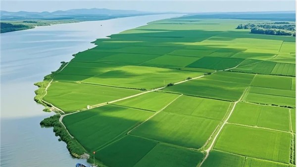 湖南省糧食和物資儲備科技活動周?？禾匚炙梗ㄙF太太）集團“食用植物油關鍵技術突破及產業創新發展實踐—以貴太太甘二酯山茶油為例”