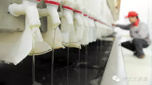 【長沙晚報】湖南貴太太帶兩萬農戶奔小康